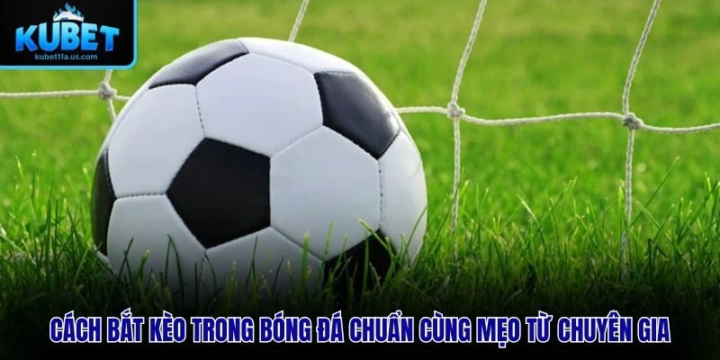 Cách bắt kèo trong bóng đá