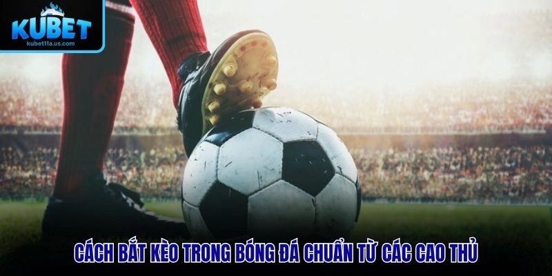Cách bắt kèo trong bóng đá chuẩn từ các cao thủ