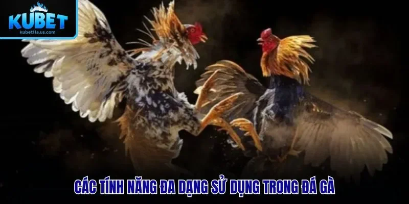 Các tính năng đa dạng sử dụng trong đá gà