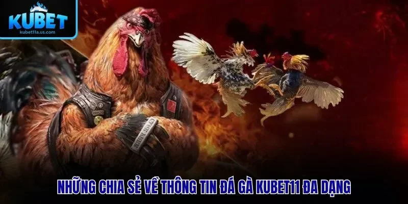 Những chia sẻ về thông tin đá gà KUBET11 đa dạng