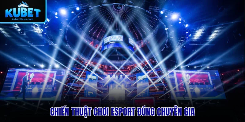 Chiến thuật chơi Esport đúng chuyên gia