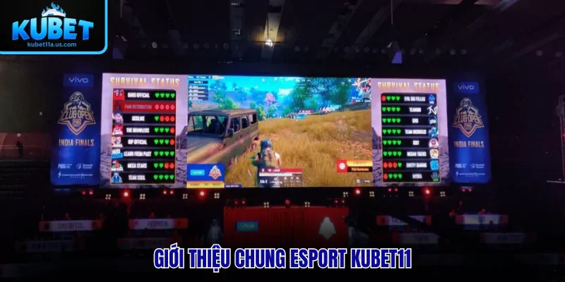 Giới thiệu chung Esport KUBET11