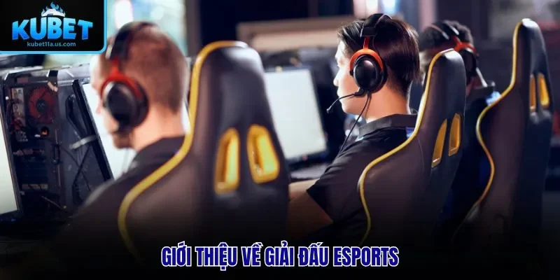 Giới thiệu về Giải đấu Esports