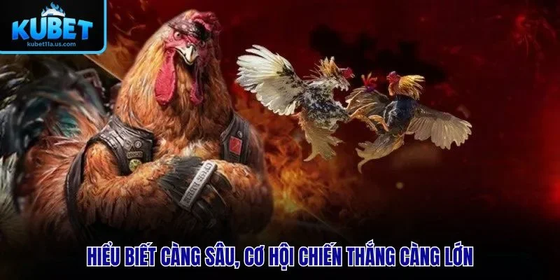 Hiểu biết càng sâu, cơ hội chiến thắng càng lớn