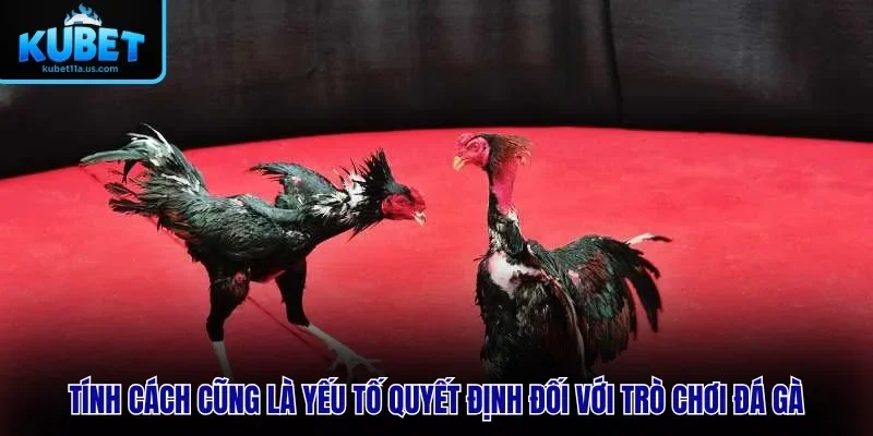 Tính cách cũng là yếu tố quyết định thắng thua đối với Trò Chơi Đá Gà