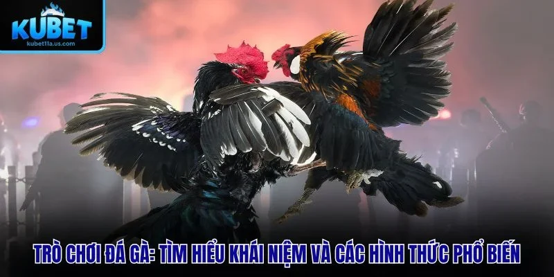 Trò Chơi Đá Gà – Tìm Hiểu Khái Niệm Và Các Hình Thức Phổ Biến